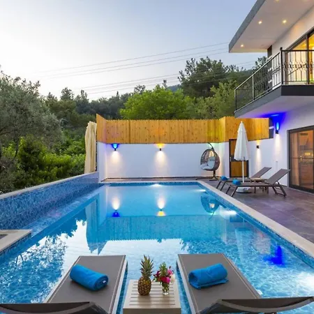 Islamlar Village 2 Bedroom With Private Pool Villa *